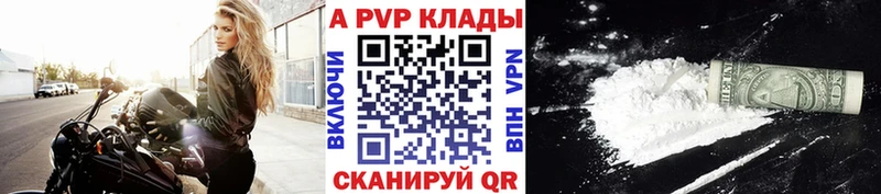 Alfa_PVP СК Салаир
