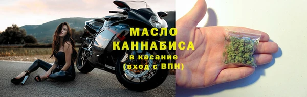 прущие грибы Аркадак