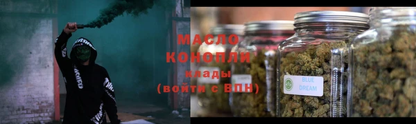 прущие грибы Аркадак