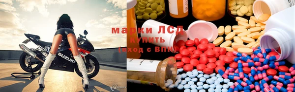 прущие грибы Аркадак