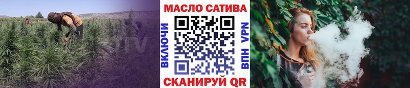 ТГК концентрат Салаир