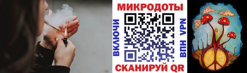 Псилоцибиновые грибы Psilocybe  где можно купить   Салаир 